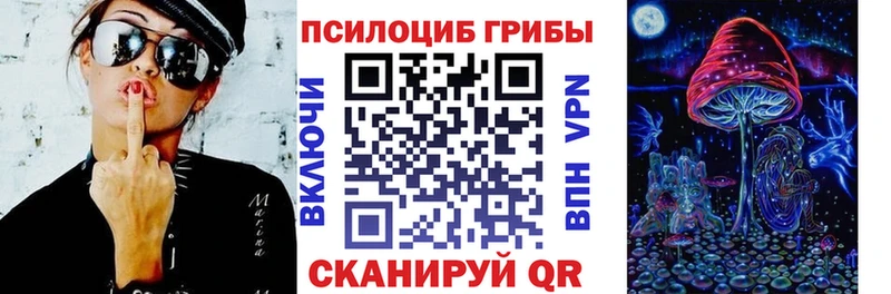 Купить где  Кораблино  Псилоцибиновые грибы Magic Shrooms 